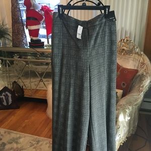 Dress  Pants